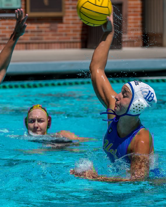 Molly Renner